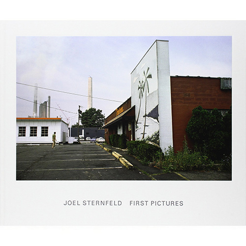 Joel Sternfeld: First Pictures 